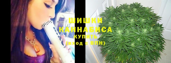 Альфа ПВП Аркадак