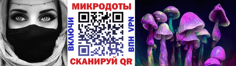 Псилоцибиновые грибы Psilocybe  Приозерск 